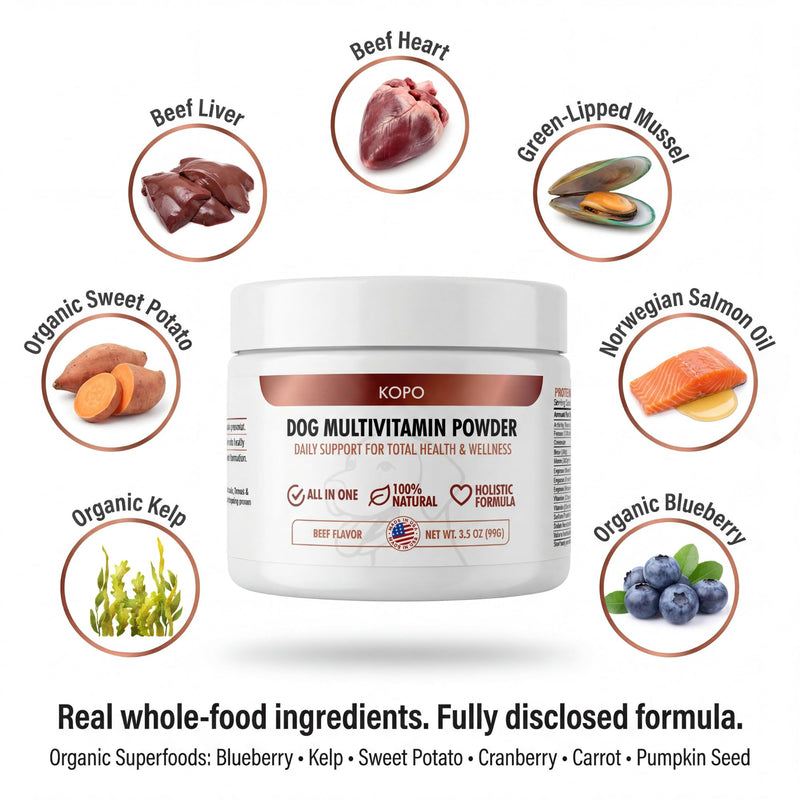 Kopo Dog Multivitamin Powder | Supports Heart, Daily Vitality, Immune Health, Digestion, Skin & Coat and Hip & Joint | for Puppy, Adult & Senior Dogs | Beef Liver Flavor | All Breeds Sizes