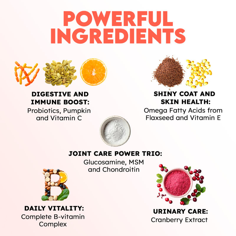 Cat Vitamins for Indoor & Outdoor Pets - 200 Chews - Healthy Cat Treats - Immune, Joint Support, Skin & Digestion - Multivitamin with Omega 3s, Glucosamine & Probiotics