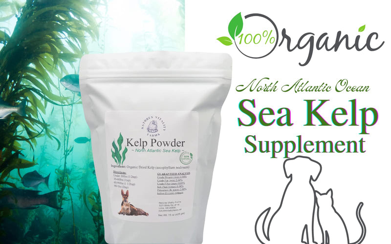 Kelp Powder for Dogs/Cats, Natural North Atlantic Ocean Sea Kelp, Vitamins Minerals and Antioxidants for Ultimate Health (15 Ounce) 15 ounce