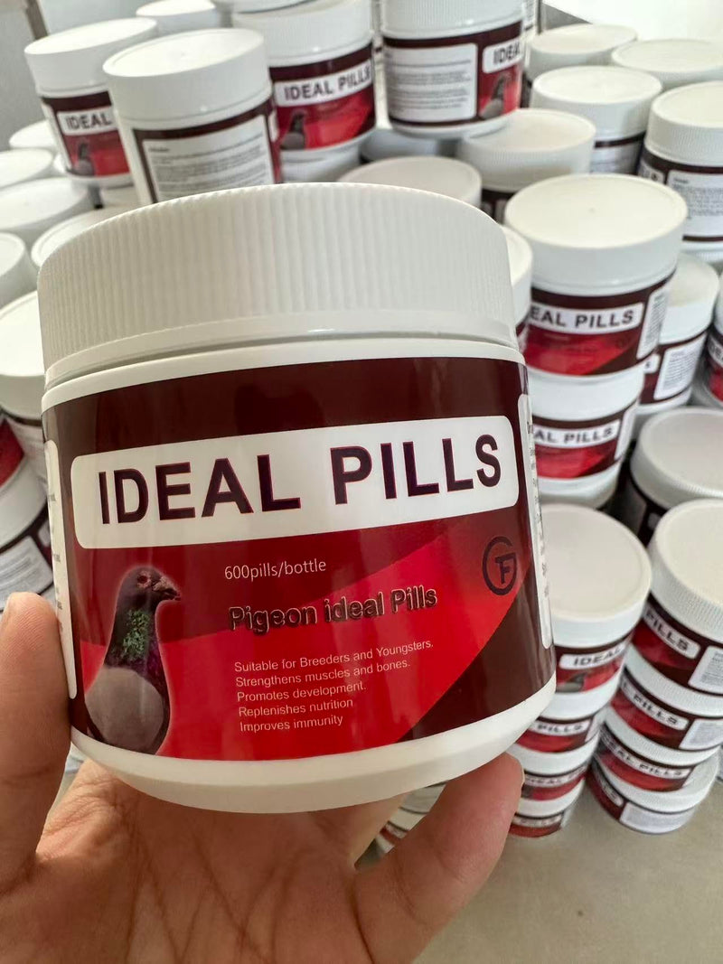6 in 1 Medicine for Pigeons, Canary, Finches, Parakeet, Cockatiels, Parrots, Cage Small Birds, & Aviary Birds 120 Capsules