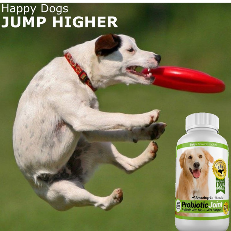 Amazing Dog Skin and Coat and Probiotics for Dogs Joint Digestive Bundle - Omega 3 for Dogs Itchy Skin Relief for Dry Skin, Hot Spots and Shedding, Eliminates Joint Pain, Gas and Diarrhea Elimination