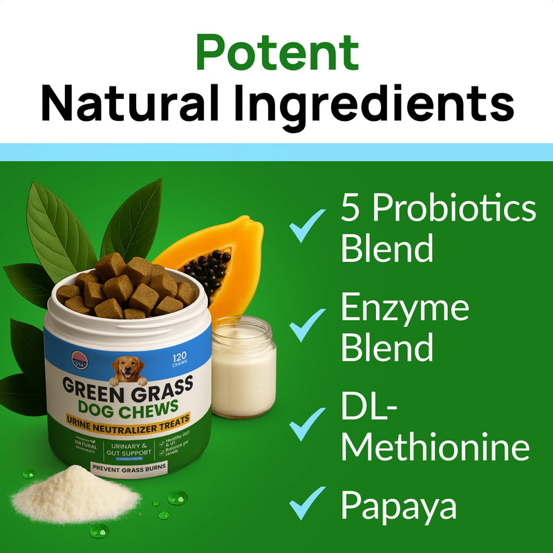 Green Grass Dogs Chews w/Probiotics - Prevent Urine Burning Grass - Pee Gras Spot Saver - Dog Urine Neutralizer for Lawn Treats, UT & Gut Health for Dogs, Lawn Burn from Dog Urine 120Ct