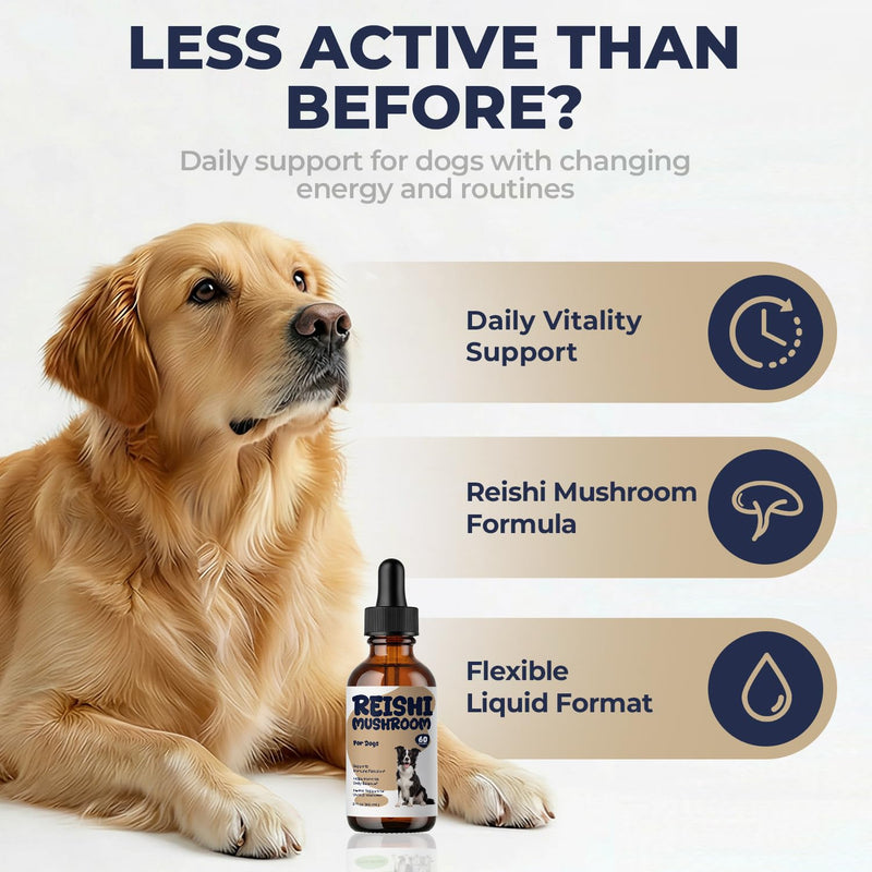 Reishi Mushroom Drops for Dogs, Dog Mushroom Supplement for Immune Support & Daily Wellness, Liquid Reishi Extract for Senior Dogs, Energy, Balance & Long-Term Support, 2 fl oz