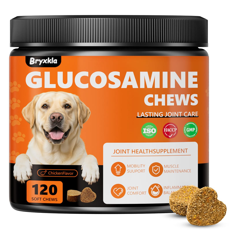 Dogs Joint Health Supplement - Glucosamine, Chondroitin, MSM, Omega 3 - Hip & Joint Pain Relief Soft Chews for All Breeds and Sizes, Chicken Flavor - 120 Count