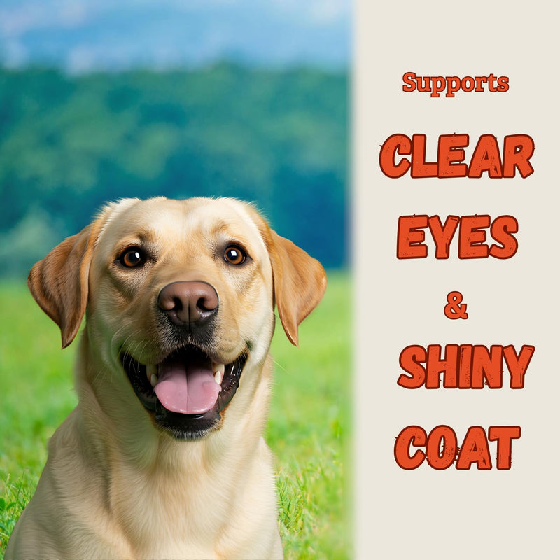 Salmon Oil for Dogs and Cats, Fish Oil for Skin and Coat Health, Omega-3 EPA & DHA Liquid Supplement (8 oz.) 8 oz.