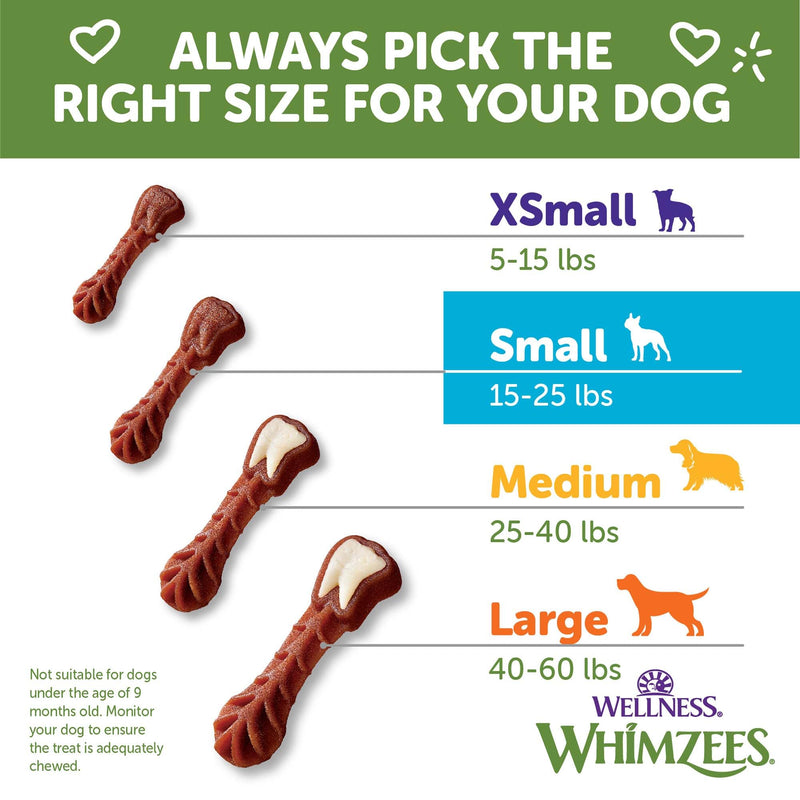 Whimzees Wellness Brushzees Dog Dental Treat, VOHC Accepted Chews, Freshens Breath, Small Size, 4.2 oz Bag, 8 Count (Pack of 2) Dental Small 8 Count (Pack of 2)