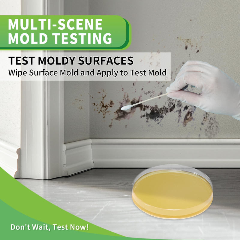 Mold Test Kit for Home with Free Lab Analysis - 10 Simple Detection Tests DIY at Home Mold Air Tester - Test HVAC System,Surface Mold for Home Indoor & Outdoor Air Quality Mold Testing Kits Detector