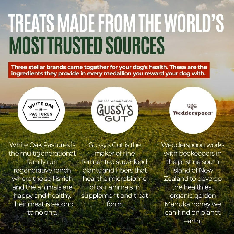 Gussy's Gut Fermented Superfood Reset & Reward Bundle (3oz Trial Boost)