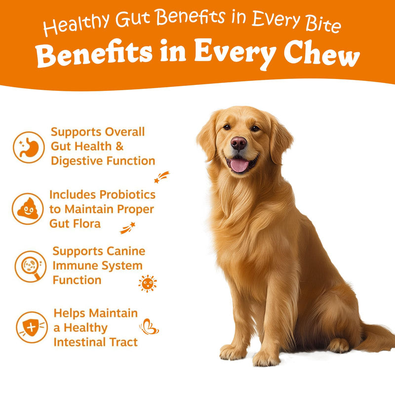 Probiotics for Dogs - Digestive Enzymes for Gut Flora, Digestive Health, Diarrhea & Bowel Support - Clinically Studied DE111 - Dog Supplement Soft Chew for Pet Immune System - Chicken