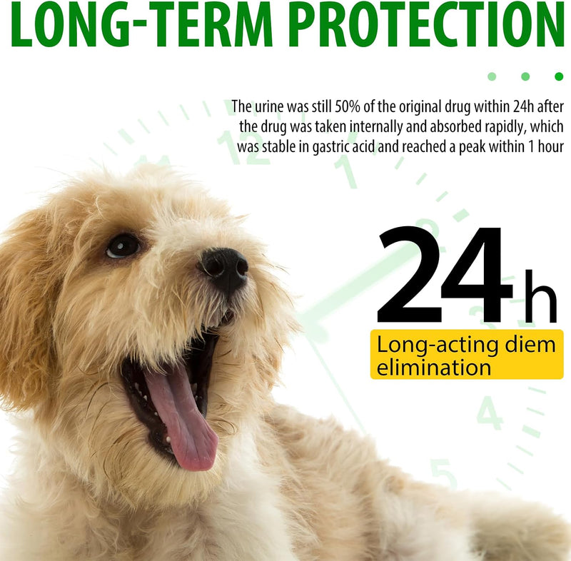 Dogs Antibiotics for Infection Coughs, UTIs, Allergies, Itching - Natural Antibiotics Supplement Drops for Cats to Support Digestion and Urination | Skin & Coat | All Breeds & Ages | 2 Oz