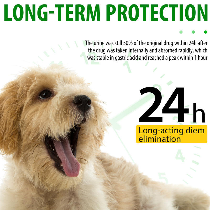 Natural Antibiotics for Dogs, Pet Supplements, 2 Fl Oz / 1 Pack Dogs Multivitamin, Dog Antibiotic, Supports Dog Allergy Itch Relief, Bacon Flavor
