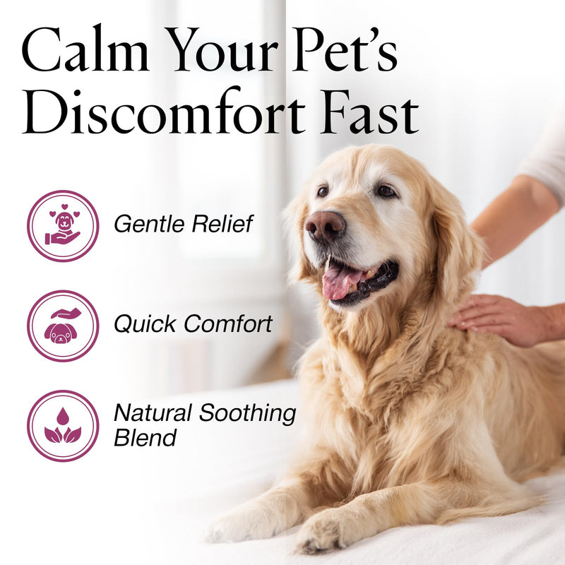 Jax N Daisy Don’t Let Your Dog Itch Lotion, 16 oz – Itch Relief for Dogs, Anti-Itch Skin Soother & Grooming Care Dog Lotion Itch relief 16oz