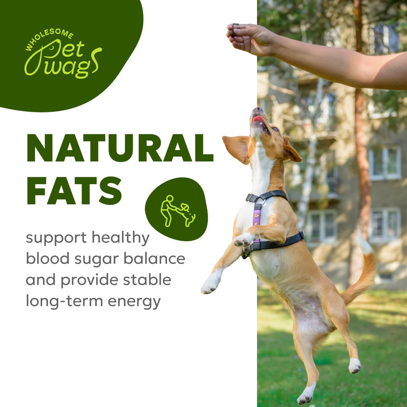 Canine Skin & Coat Soft Chews | Dog Vitamins and Supplements, with Fish Oil, Biotin, Vitamin A & D3, Promotes Skin Health, with Omega-3 Fatty Acids | 60 Chews (180 g, 6.35 oz.) - PawsPlanet Australia