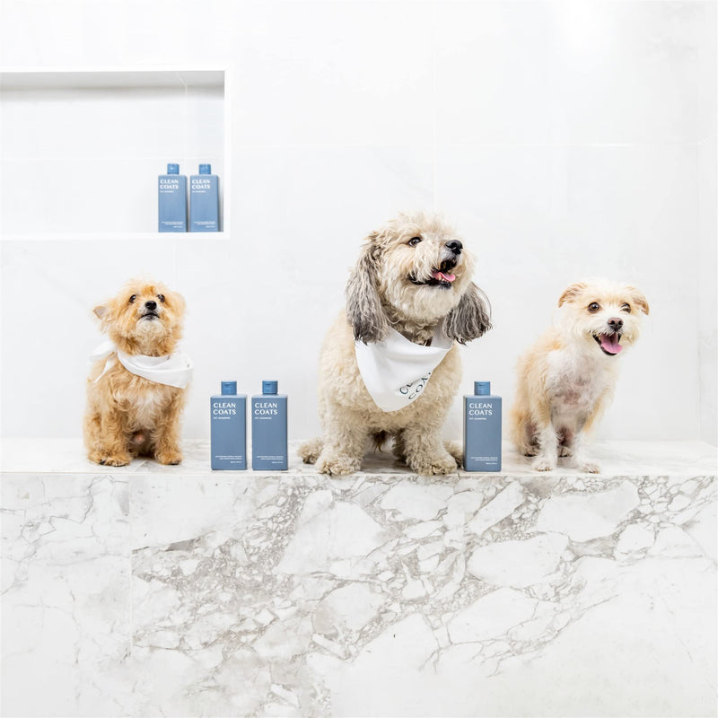Fragrance Free Pet Shampoo for Dogs – Gentle Oatmeal & Aloe Leaf Formula for Sensitive Skin, Helps to Relieve Itchy & Dry Skin, Vegan Formula - PawsPlanet Australia
