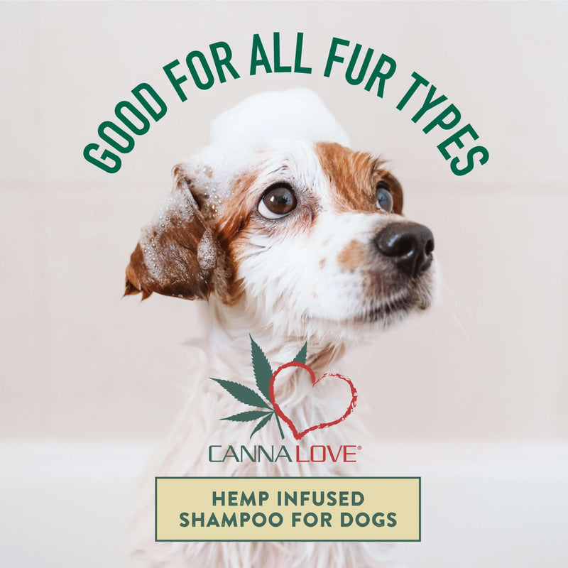 CannaLove Antimicrobial Shampoo - PawsPlanet Australia
