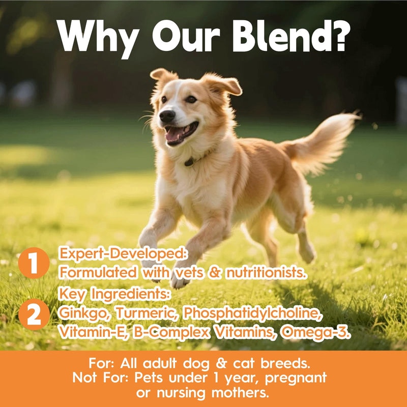 Ginkgo Brain & Heart Support Drops for Dogs, Senior Dogs & Cats Cognitive & Memory Support, Blood Pressure, Cholesterol, Fights Mental Fog, with Curcumin & Lecithin & Multivitamins ﻿