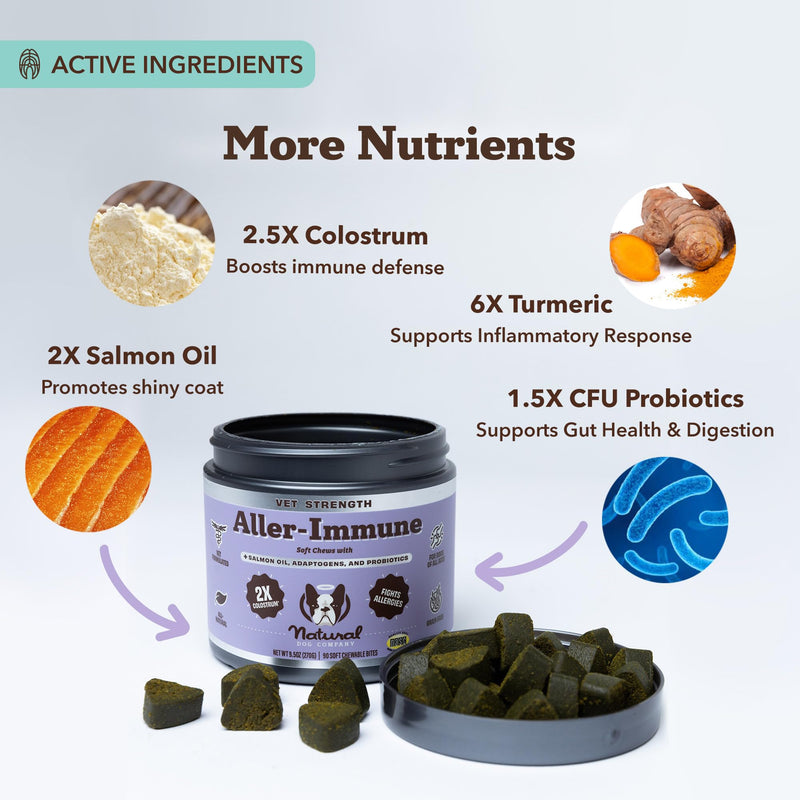 Natural Dog Company Bundle: Allergy & Itch Defense Chews (90 ct) + Skin Soother Balm (2 oz) – Vet-Strength Support with Colostrum, Salmon Oil & Probiotics + Healing Balm for Itchy, Dry, Irritat