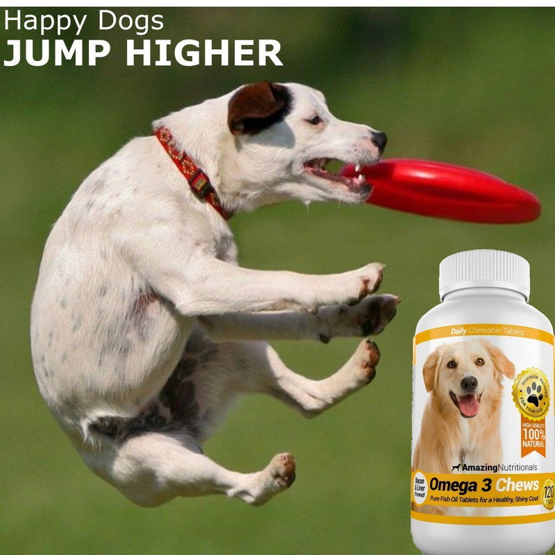 Probiotics for Dogs Digestive with Dog Skin and Coat Bundle - Omega 3 for Dogs Itchy Skin Relief for Dry Skin, Hot Spots and Shedding, Eliminates Joint Pain, Gas and Diarrhea Elimination
