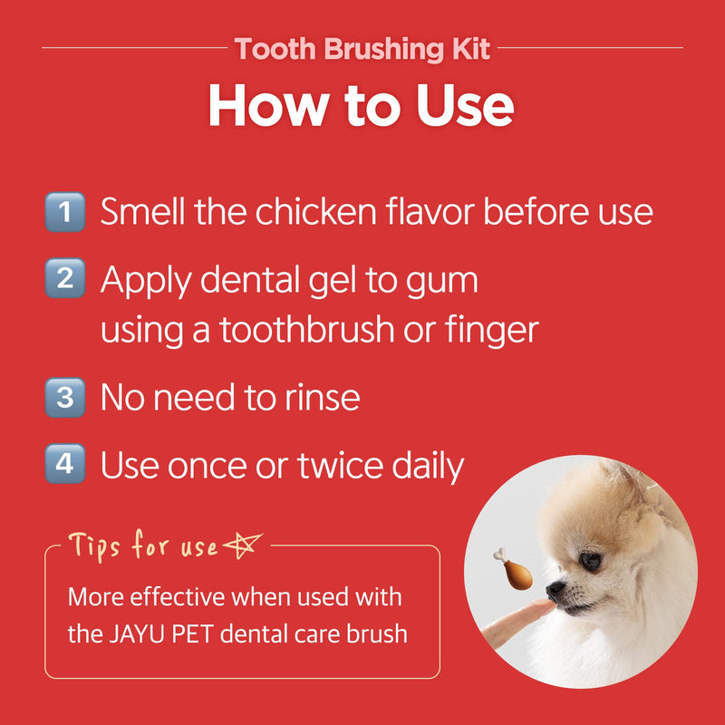 JAYU PET Firm Bristles Tooth Brushing Kit - Dental Gel 1ea + Dental Care Brush 1ea | Teeth Cleaning & Breath Freshener, Removing Plaque and Tartar, Pet Dental Hygiene, Dog Easy Teeth Brushing
