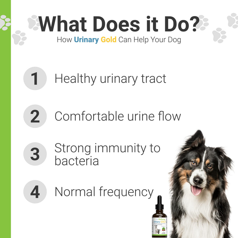 Pet Wellbeing - Urinary Gold for Dogs - Natural Support for Dog Urinary Tract Health 2oz - PawsPlanet Australia