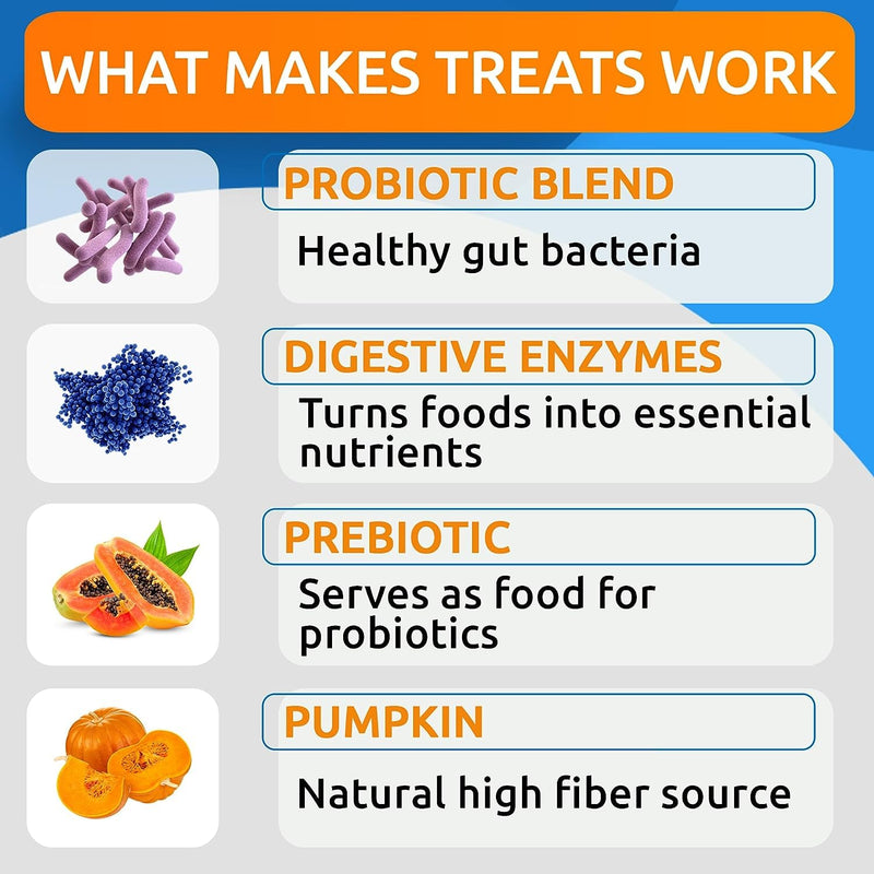 Allergy Relief + Probiotics & Digestive Enzymes for Dogs - Anti-Itch Skin & Coat Supplement - Omega 3 Fish Oil - Gut Health - Pet Diarrhea Gas Treatment, Upset Stomach Relief Pills, Digestion Health