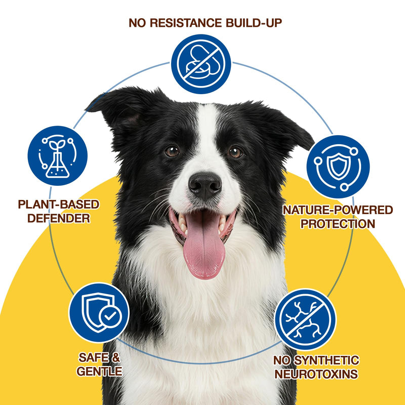 Natural Flea and Tick Prevention for Dogs Chewables, 180 Soft Chews Dog Flea and Tick Treatment, Oral Flea Chews for Dogs, Skin & Coat Support Supplement 180 chews