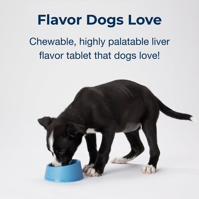 Pet-Ag Sure Grow 100 - Promotes Optimal Bone Development in Puppies Eight Weeks and Older - With Calcium, Phosphorus, and Vitamins A & D - 100 Chewable Tablets