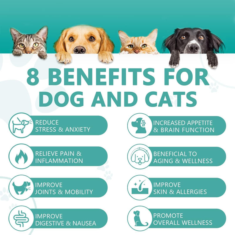 Max Potency Hemp Oil for Dogs & Cats - Help Anxiety Stress Pain Inflammation Arthritis Aggressive Relax Sleep Allergies Seizures Relief - Treats Chews Joint & Hip - Organic Pet Calming Drops - Non-GMO
