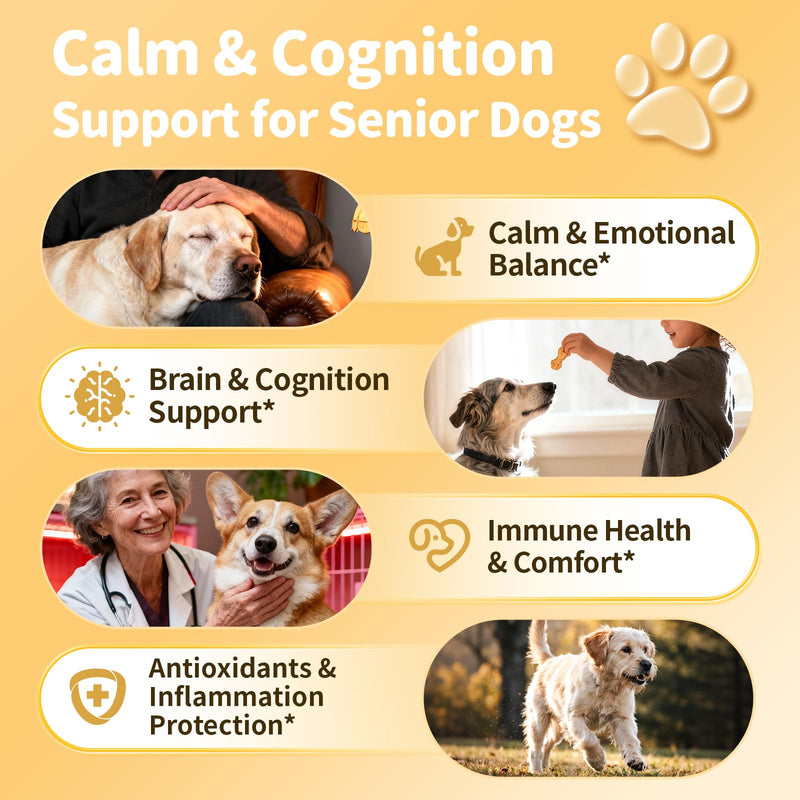 Advanced Calming Chews for Dogs-Brain & Composure Support with 7 Mushrooms, Ashwagandha, Omega-3 DHA & EPA, All Breeds & Sizes, Salmon Flavor, 90Ct