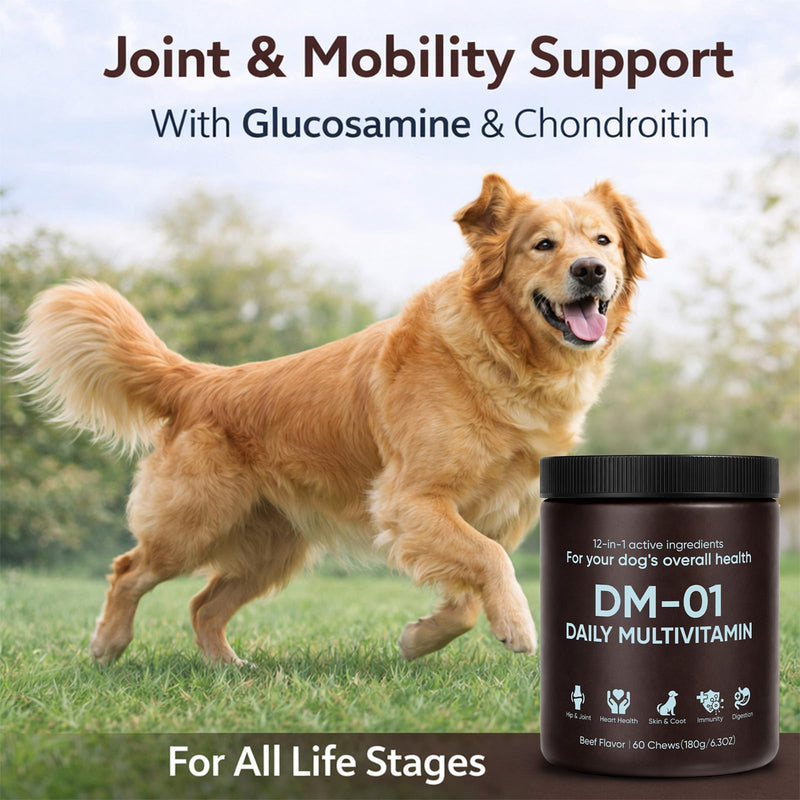 DM-01 Daily Multivitamin for Dogs, Dog Daily Multivitamin for Skin & Coat Health, Joint Support, Digestive Health, with Salmon Oil, Chondroitin, and Natural Vitamins, Beef Flavor, 60 Chews (1) 1