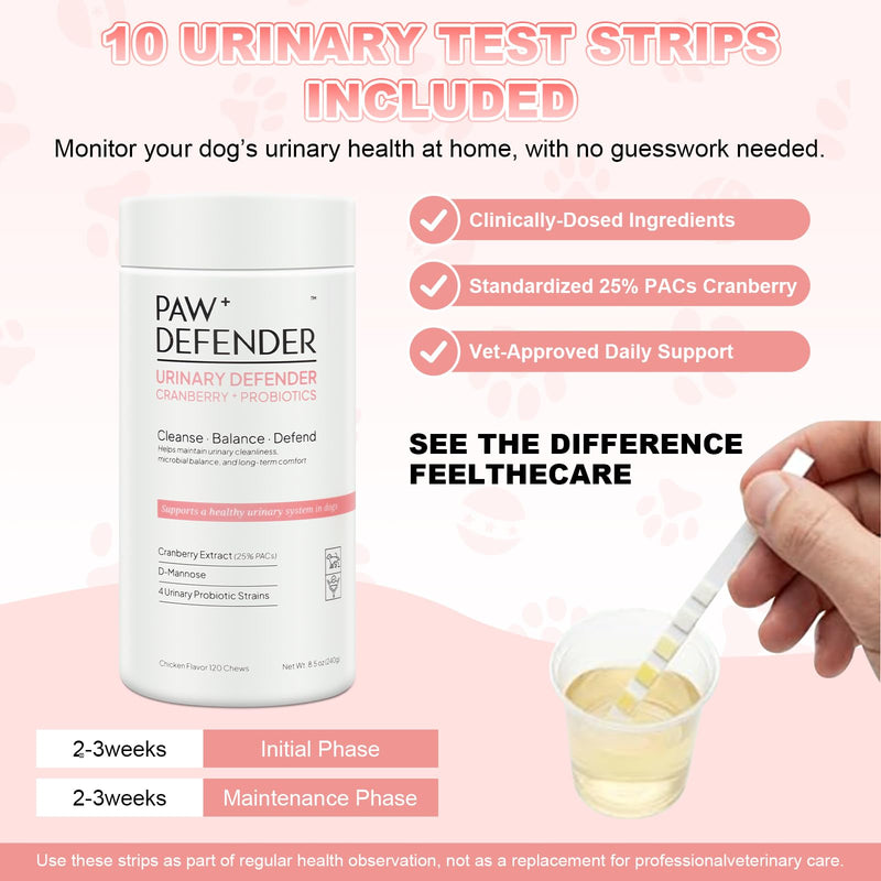 Dog UTI Treatment, Cranberry Supplement for Dogs, Urinary Tract & Bladder Incontinence Support with Natural Cranberry Extract & D-Mannose & UT Probiotics, Includes 10 Urine Test Strips, 120 Chews