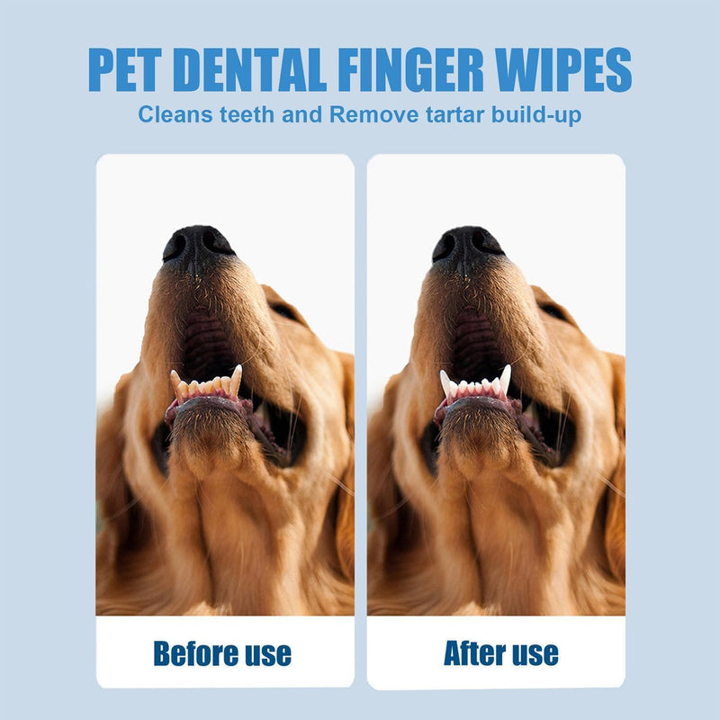 Dog Dental Finger Wipes for Teeth Cleaning Plaque Off, Dental Care for Dogs & Cats, Stain & Tartar Remover for Teeth, Finger Toothbrush Wipes, Fresh Breath & Gum Care with Zinc + Green Tea - 50pc