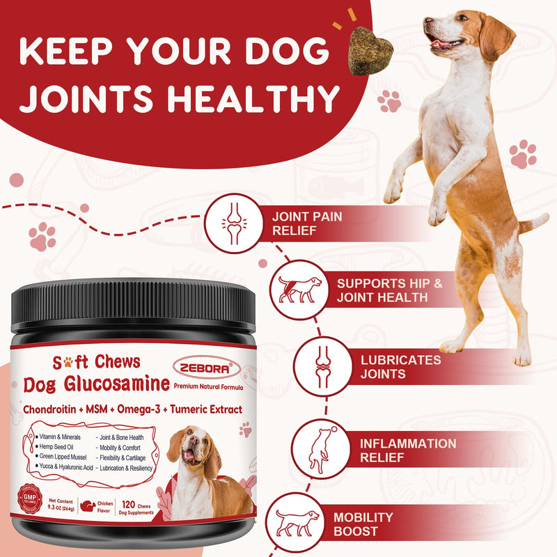 Probiotics for Dogs Bundle with Glucosamine for Dogs