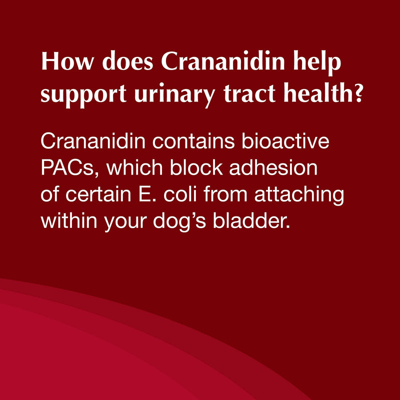 Nutramax Laboratories Crananidin Cranberry Extract Urinary Tract Health Supplement for Dogs, 75 Chewable Tablets 75 Count