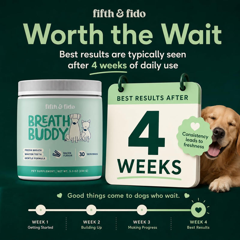 Breath Buddy Dog Dental Powder for Teeth Cleaning – Cat & Dog Breath Freshener, Helps Remove Plaque & Tartar, Gentle Formula for Sensitive Stomachs, Natural Ingredients, USA Made