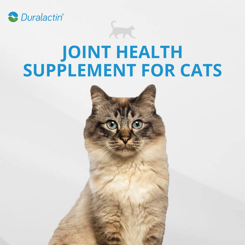 PRN Pharmacal Duralactin Feline - Joint Health Supplement for Cats & Kittens Supports Chronic Soreness, Joint Health & Overall Wellness - Gelatin Capsules Containing Dried Milk Protein - 60 Capsules