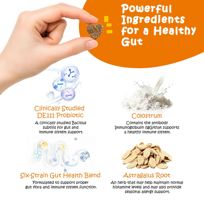 Probiotics for Dogs - Digestive Enzymes for Gut Flora, Digestive Health, Diarrhea & Bowel Support - Clinically Studied DE111 - Dog Supplement Soft Chew for Pet Immune System - Chicken