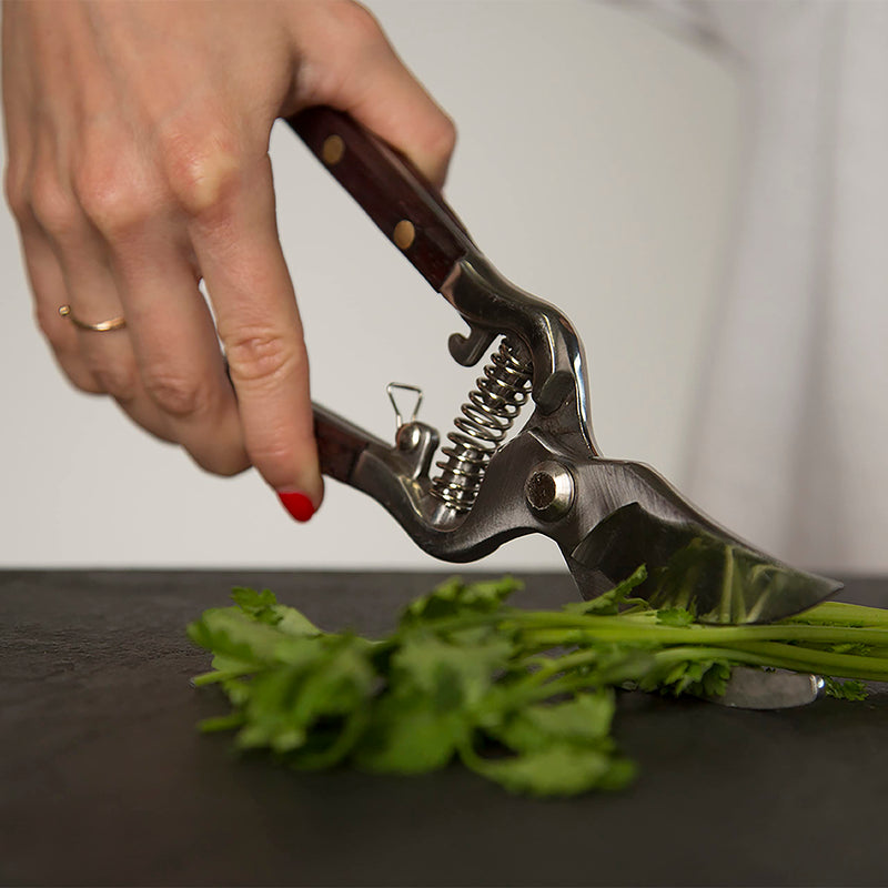 Thai Kitchen Scissors and Pruning Shears for Gardening by Verve CULTURE, Handcrafted, Multipurpose with Stainless Steel Blades & Pradu Wood Handles