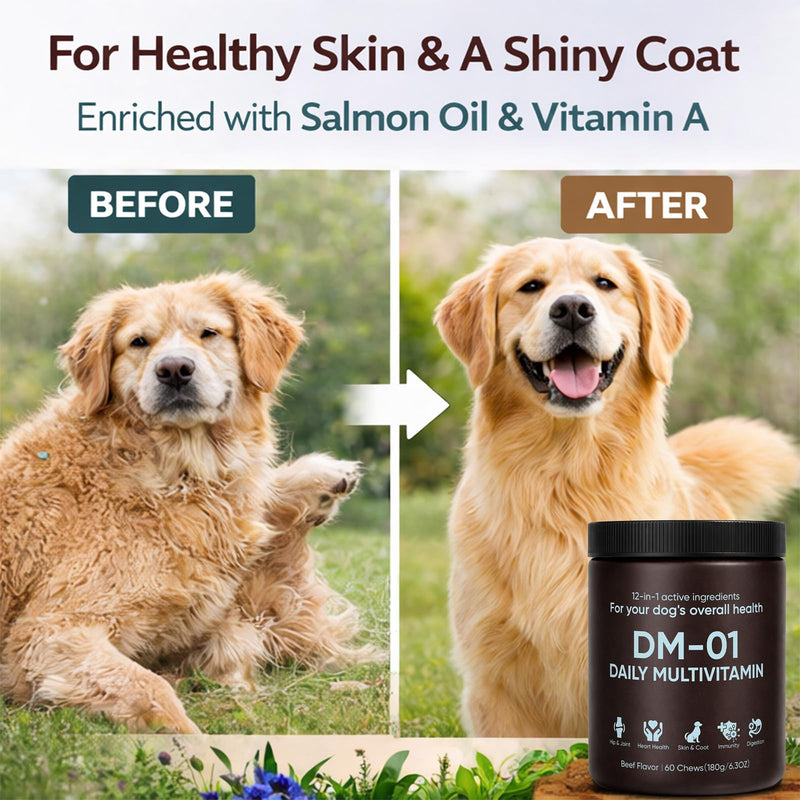DM-01 Daily Multivitamin for Dogs, Dog Daily Multivitamin for Skin & Coat Health, Joint Support, Digestive Health, with Salmon Oil, Chondroitin, and Natural Vitamins, Beef Flavor, 60 Chews (1) 1