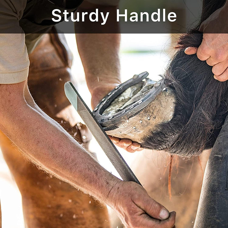 T12 Carbon Steel Horse Hoof Rasp - 14" Professional Farrier Tool with Non-Slip Rubber Handle for Horse/Goat/Cow/Donkey/Animal Hooves (14 inch) 14 inch
