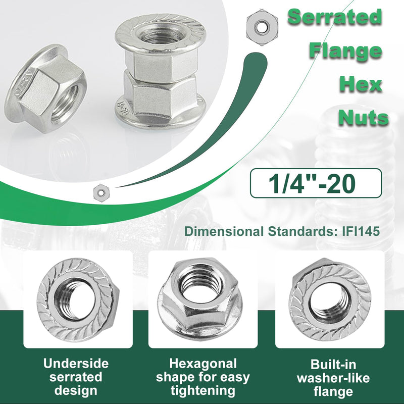 1/4-20 Serrated Flange Hex Nuts, 30 Pcs 1/4" Hexagon Flange Nuts, 304 Stainless Steel, UNC Nuts Fasteners, Right Hand, Replacement SAE Lock Nut for DIY Home Mechanism 1/4-20