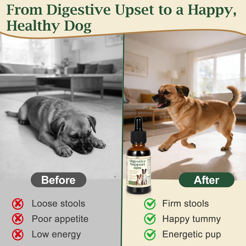 Digestive Support for Dogs and Puppies – Helps Maintain Stool Consistency, Gut Health & Appetite During Occasional Upset Stomach or Diet Changes, Sensitive Stomach Formula, 1 fl oz