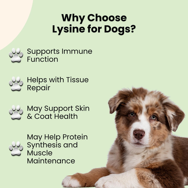 Lysine for Dogs - Dog Sneezing Relief - Dog Allergy Relief - May Help with Respiratory Health, Sneezing, Runny Nose & Much More - L-Lysine for Dogs - 1 fl oz - Bacon Flavor