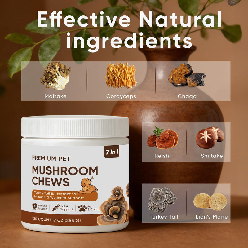 Turkey Tail Mushroom for Dogs - Mushroom Chews for Dog - Reishi, Lion’s Mane, Chaga - Immunity, Gut, Skin, Joint Support - All Breeds & Sizes - 120 Chews 1