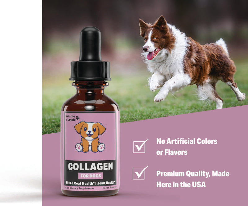 Collagen for Dogs - Liquid Collagen for Dogs - Skin and Coat Supplement for Dogs - Dog Liquid Collagen - Dog Collagen - Dog Collagen Drops - Collagen Dog - Collagen Dogs - 1 fl oz - Bacon Flavor