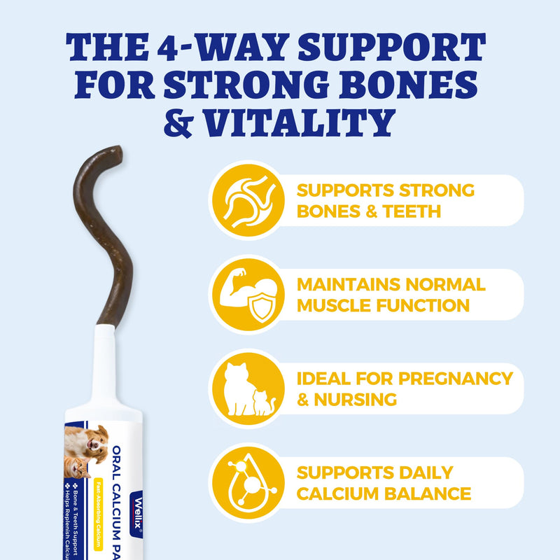 Wellix 60ml Oral Calcium Paste for Whelping Dogs & Cats, Easy-to-Absorb Calcium Supplement for Dogs & Cats with Calcium Gluconate, Lactate & Vitamin D3 for Labor Support & Recovery, Chicken Flavor
