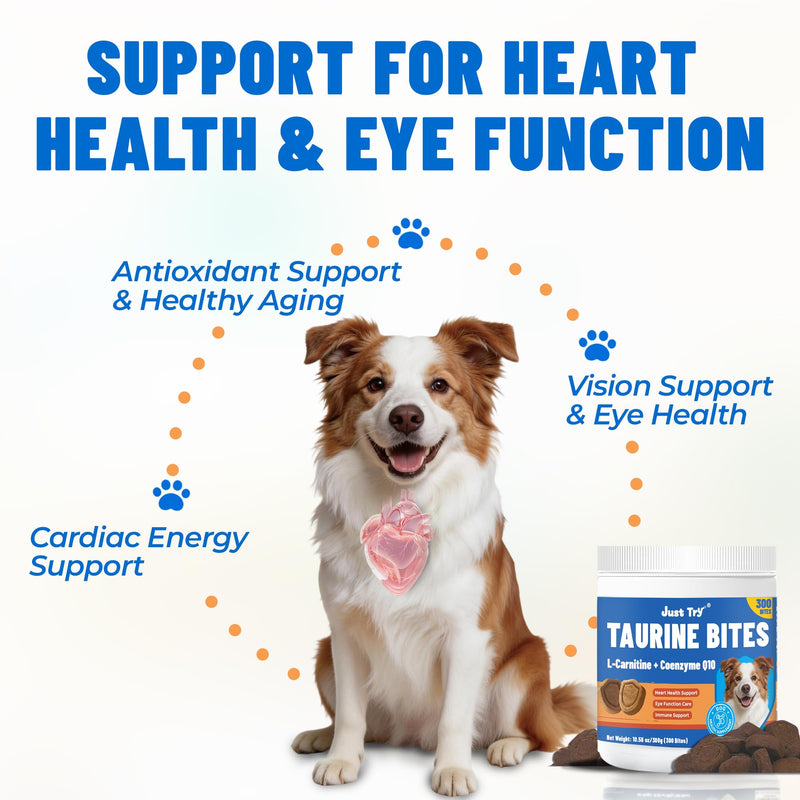 Just Try 10.58 OZ Taurine Supplement Coq10 for Dogs with L-Carnitine & Coenzyme Q10 Support Dog Heart, Immune and Eyes Health 10.58 Ounce