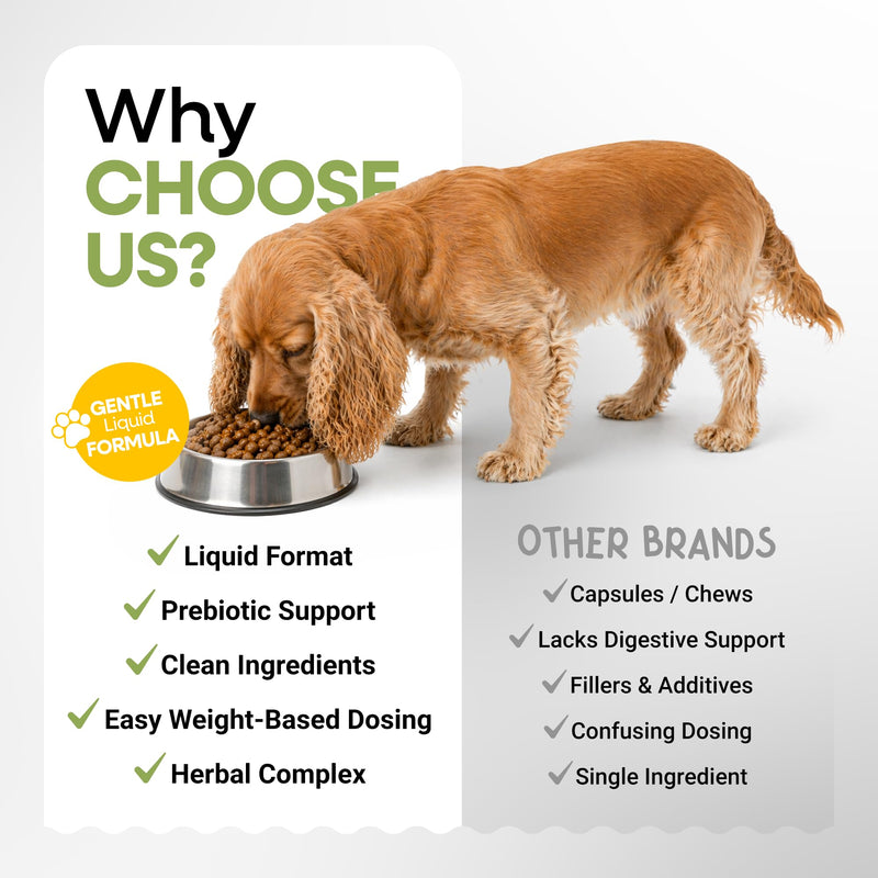 Yeast Infection Treatment for Dogs - Reduces Irritation & Relieves Itching - Supports Health Skin, Ears, Paws - (1oz)