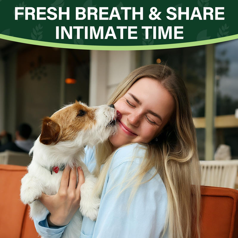 200 Chews Flea and Tick Prevention Chews-No Poo Chew for Dogs-2 in 1 Control Coprophagia & Flea Tick Supplement-Natural Soft Treats Deterrent Eat Poop with Digestive Enzymes Probiotics-Chicken Chicken