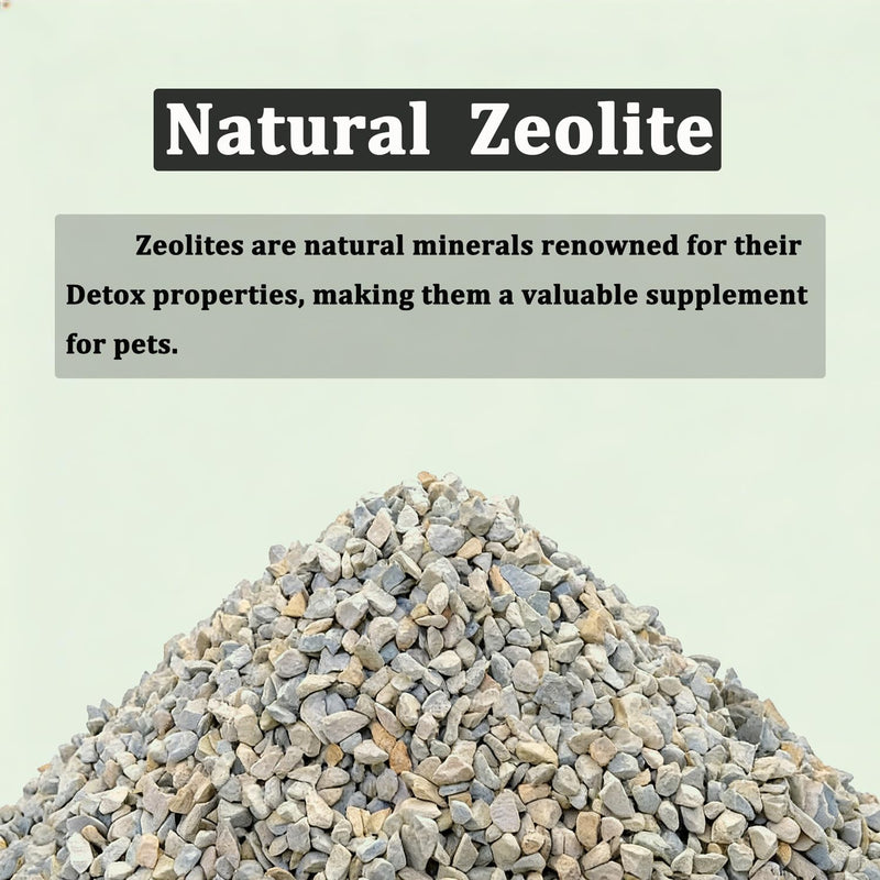 Accretion Natural Zeolite Powder for Dogs & Cats, 5oz, Digestive & Immune Support, Detox Aid, Joint Comfort, Easy-Mix Pet Supplement